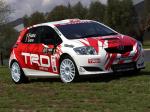 Toyota Corolla Super 2000 by TRD 2007 года